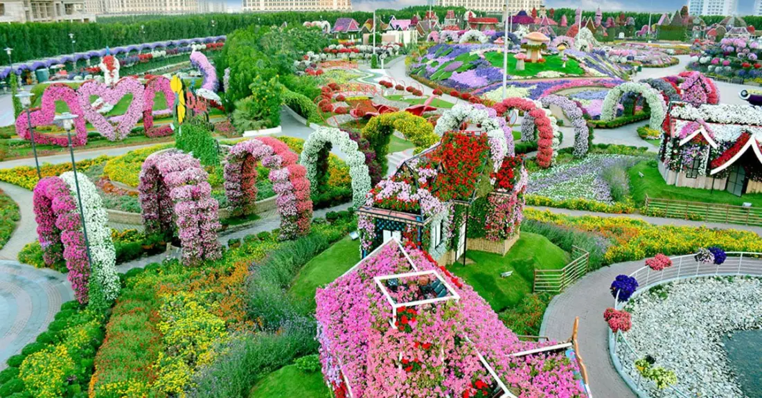Dubai Miracle Garden reopens on October 8 with 50 million flowers on show