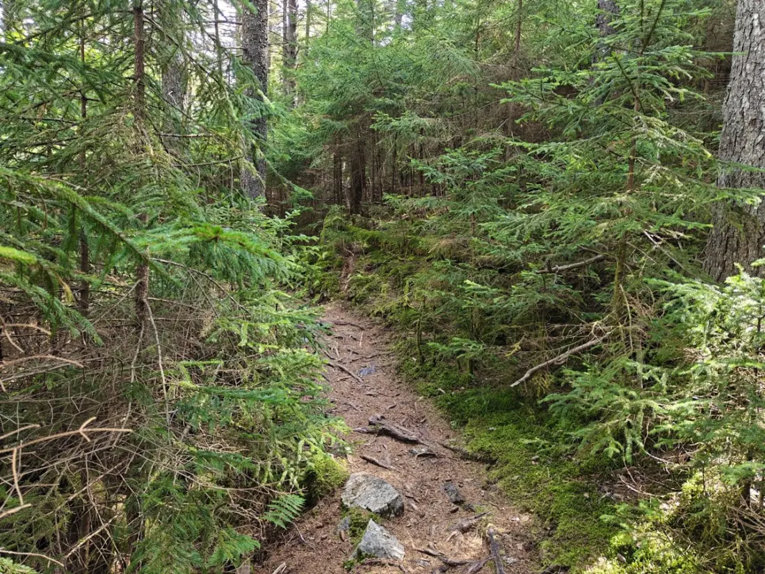 Trail diaries: the dull stretch before Killington, and a grandma's house as the reward