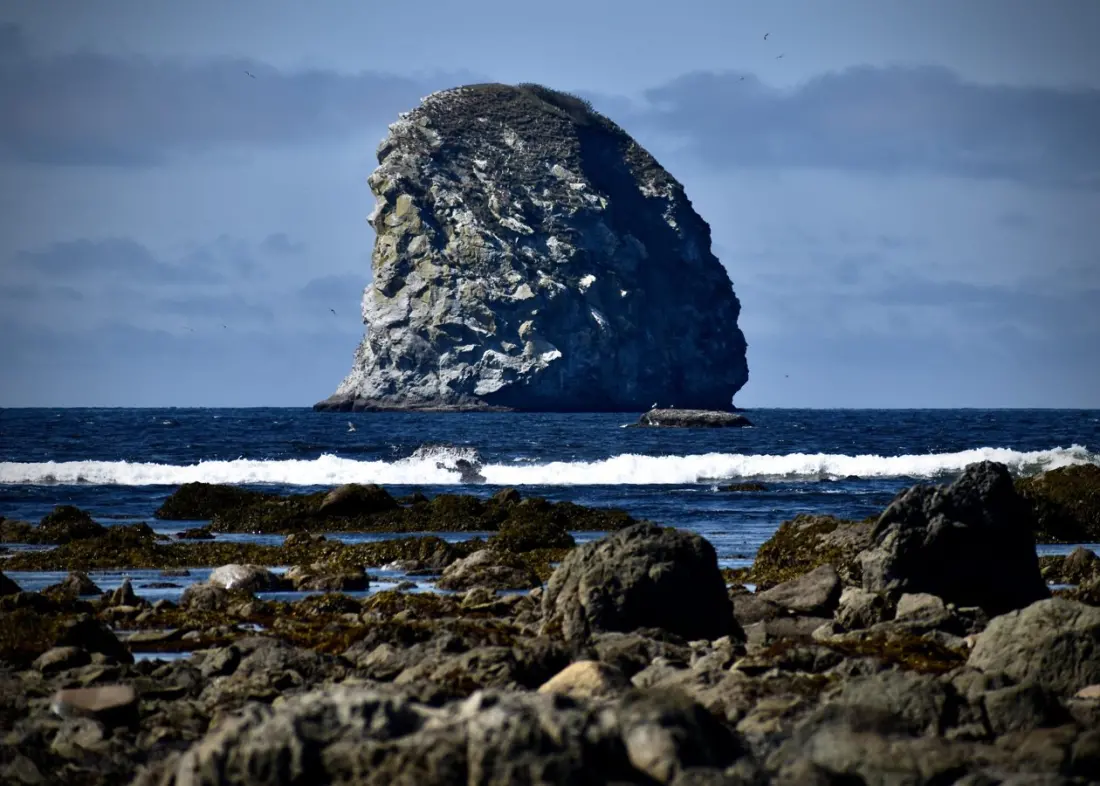 Ozette Triangle: The Short Olympic Peninsula Hike That Rewards Slowing Down