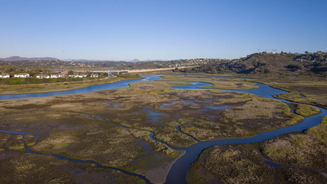 San Elijo Lagoon: The Wetland Reserve Between LA and San Diego Where 300 Bird Species Pass Through