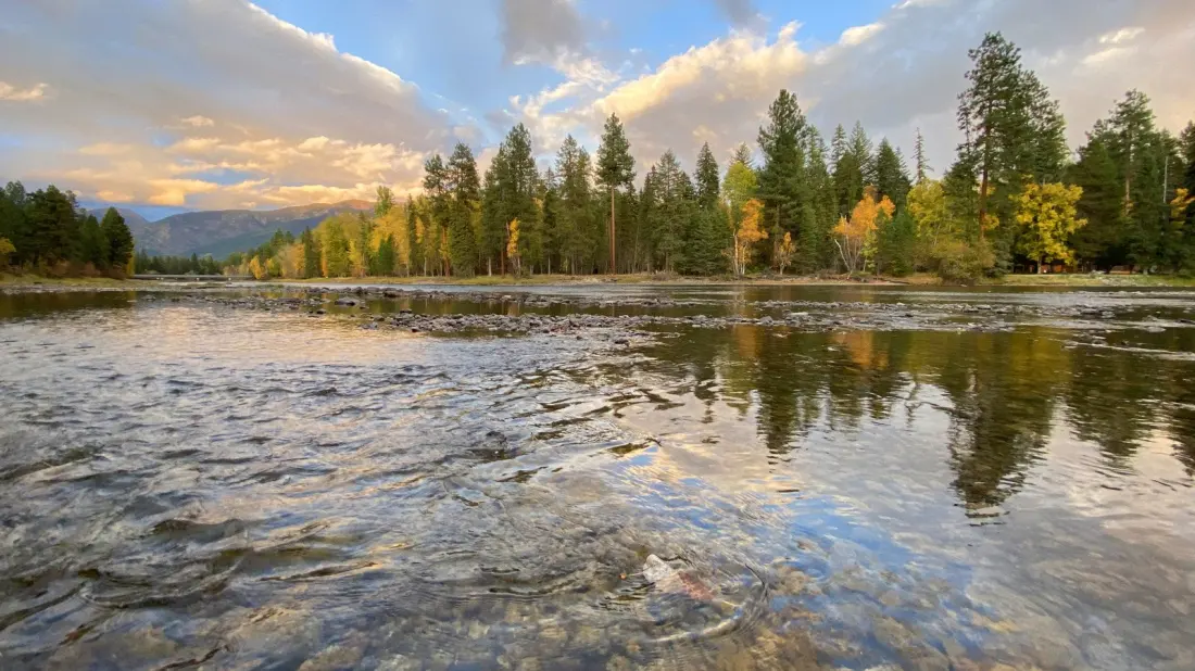 Wayfarers State Park: Montana's Small-Scale Gem on the Largest Lake in the West