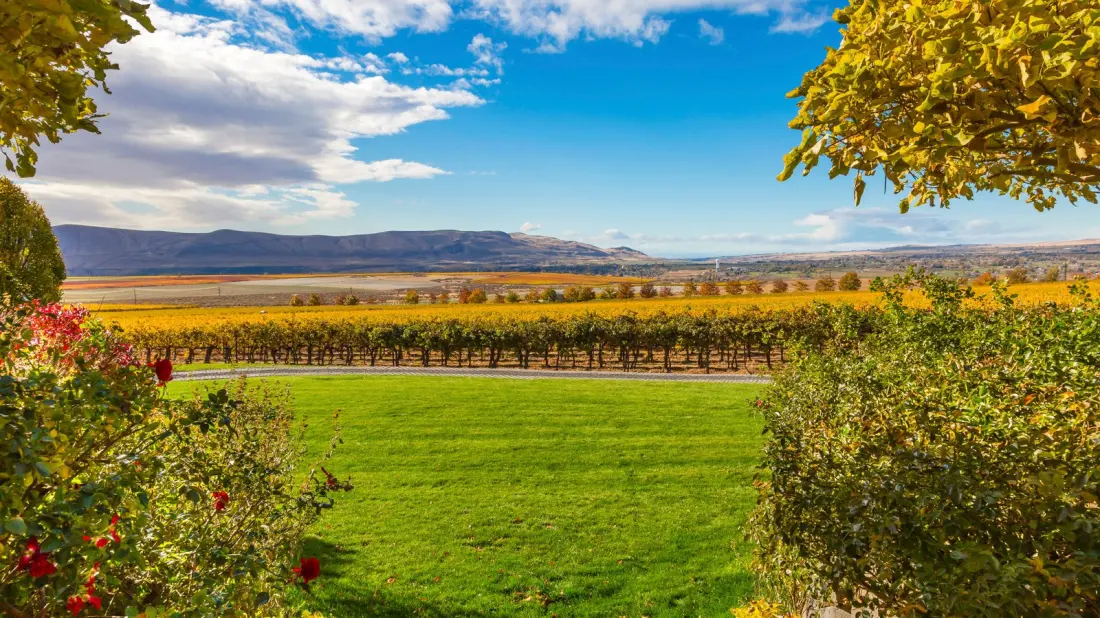 Red Mountain: Washington's Tiny AVA Pouring America's Most Awarded Cabernets