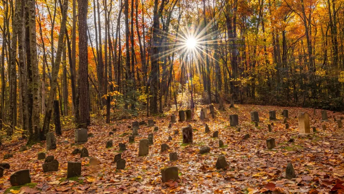 Cemetery Hiking Is Having a Moment — and It's Older Than Yellowstone