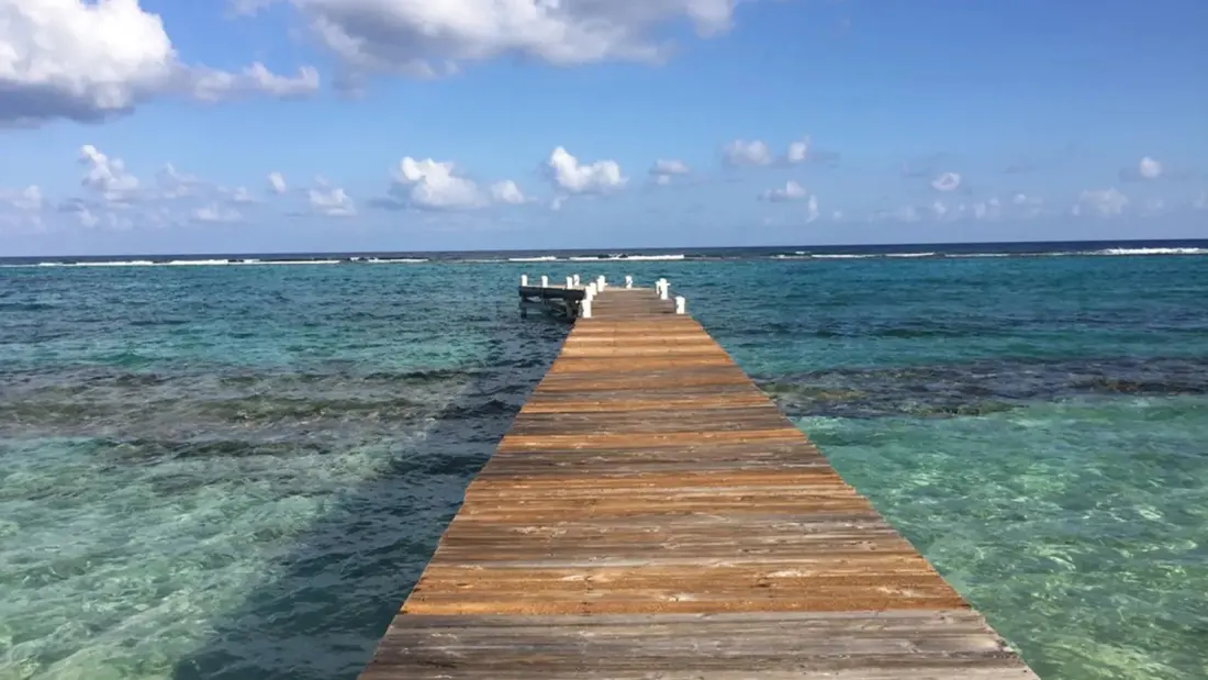 Little Cayman: Empty Beaches, Bloody Bay Wall and the Art of Doing Very Little