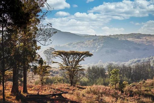 72 Hours in Zimbabwe's Eastern Highlands: Mountains, Waterfalls and Tea Country
