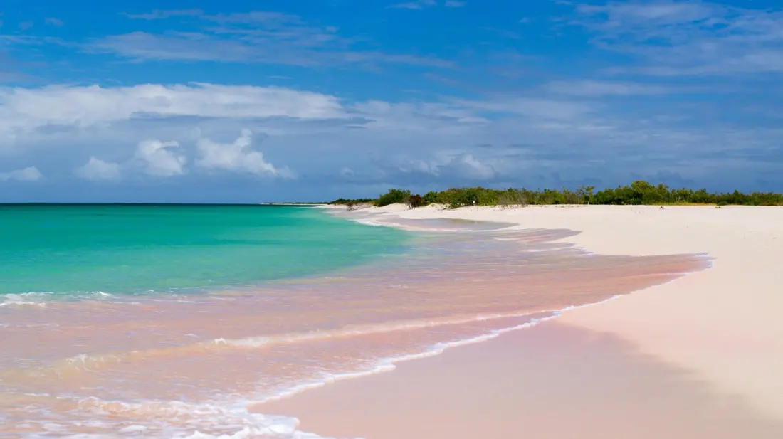Barbuda's Pink Sand Beach: The Caribbean's Quietest Barefoot Escape