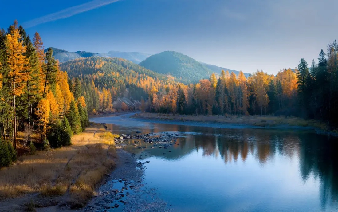 Montana Just Launched a Fall Foliage Map — Here's How to Time Your Trip Right