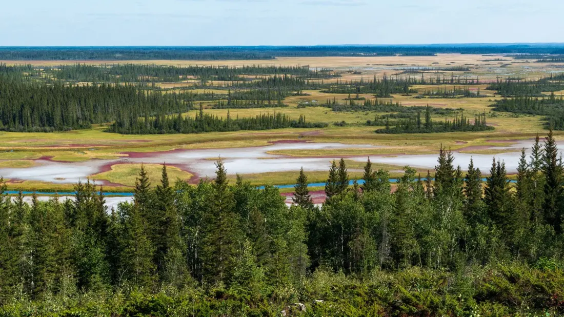 Wood Buffalo: Canada's Biggest National Park Is Also Its Best-Kept Secret