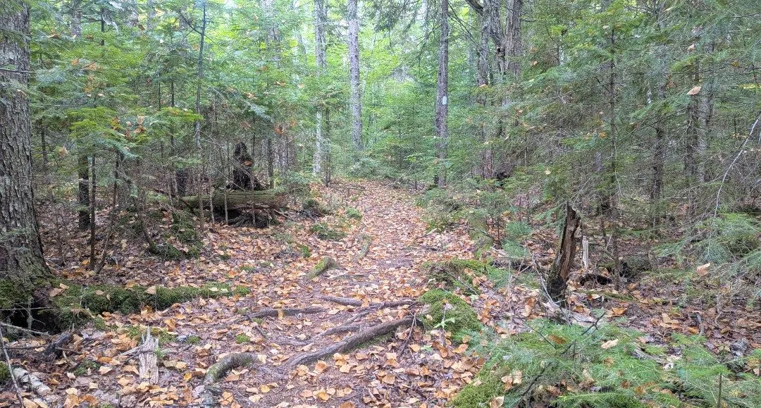Three Days From Katahdin: A Thru-Hiker's Longest Day on the Appalachian Trail