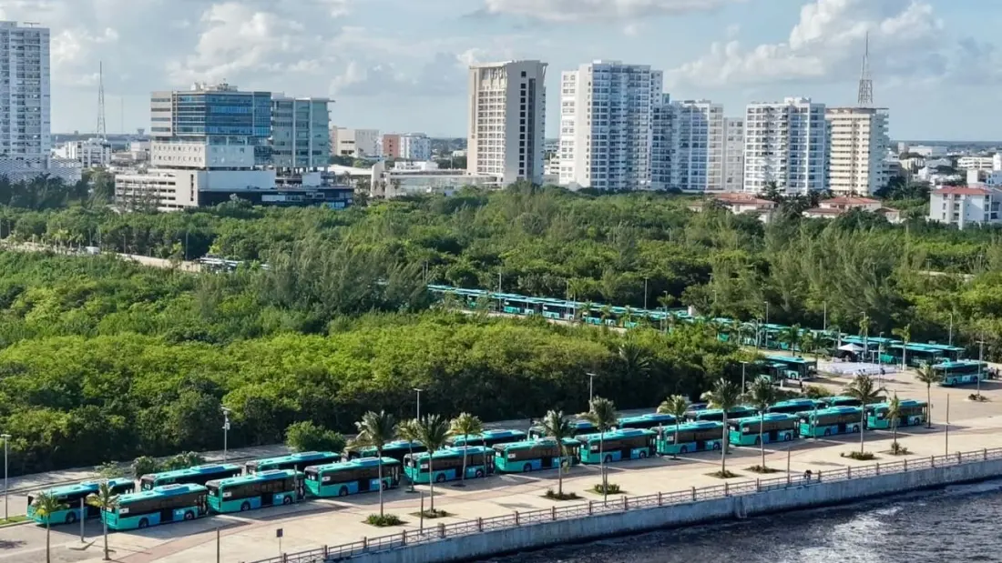 Cancun's bus network gets a big upgrade: 100 new hybrid buses and four routes on the way