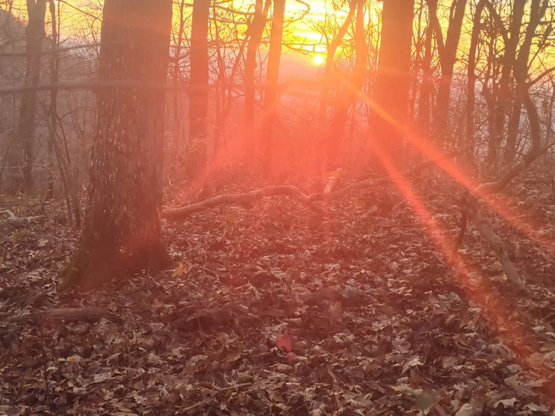 Back on the Appalachian Trail: A Thru-Hiker's Return to the Nantahala Mountains