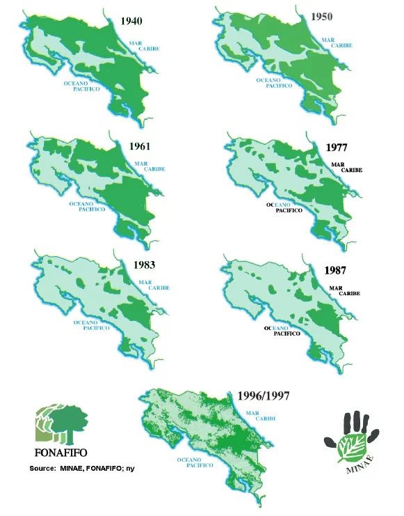 Costa Rica Doubled Its Forest Cover — and Built a Travel Industry on It