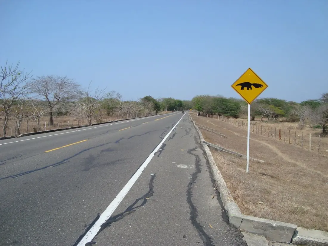 Five Colombian Road Trips Worth Renting a Car For, From Coffee Country to the Desert