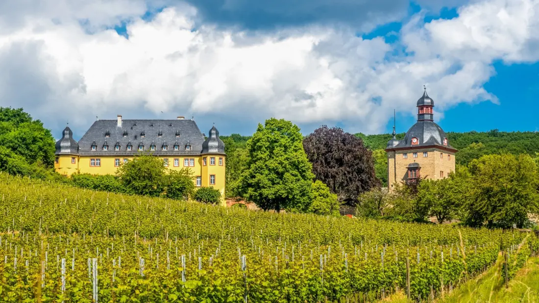 Sip History at the World's Oldest Wineries — From Austria to Croatia
