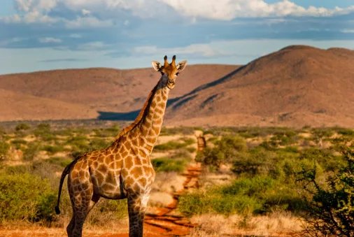 48 hours in Kuruman: the Kalahari's surprising oasis