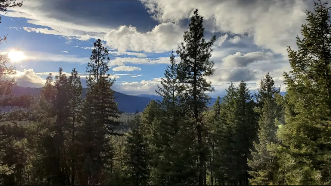 Fish Creek State Park: Montana's Quietest Answer to Glacier