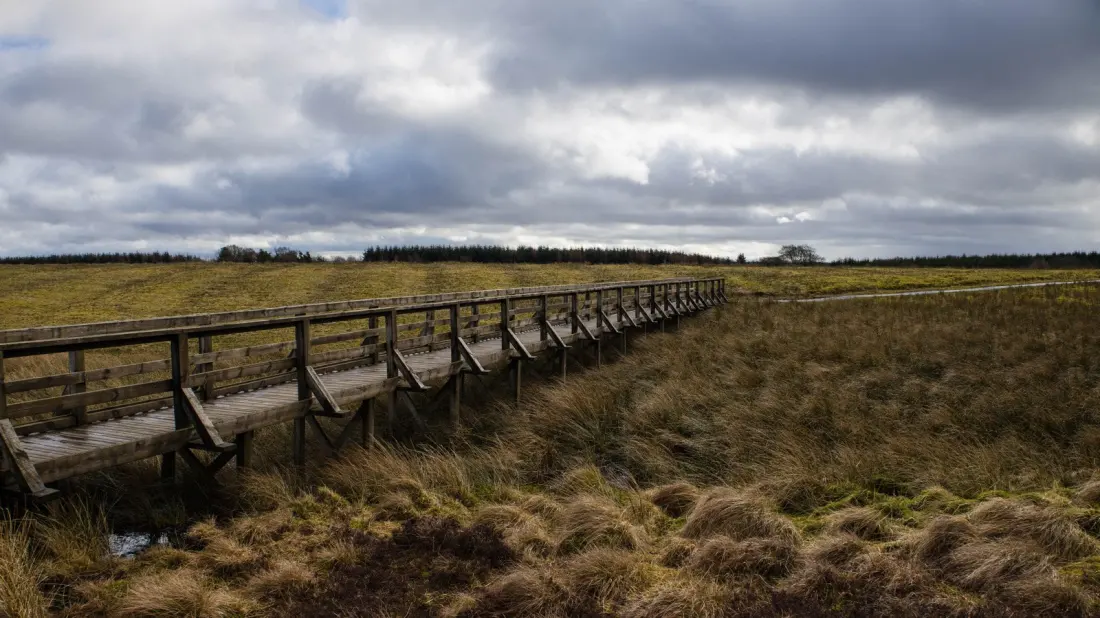 Blawhorn Moss: The Boardwalk Bog Hiding Between Edinburgh and Glasgow