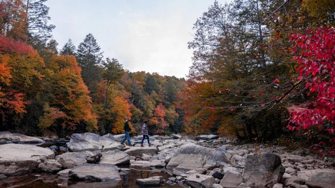 Why West Virginia's State Parks Are the Smart Pick for Fall Colour