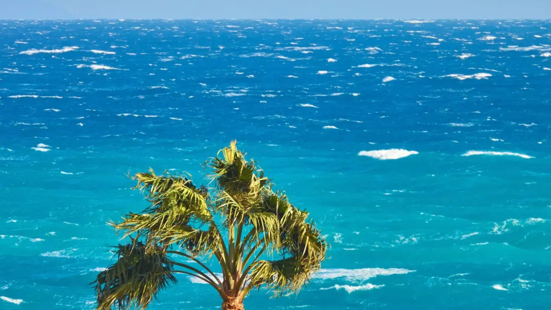 How sea breezes actually work — and how to read one like a sailor