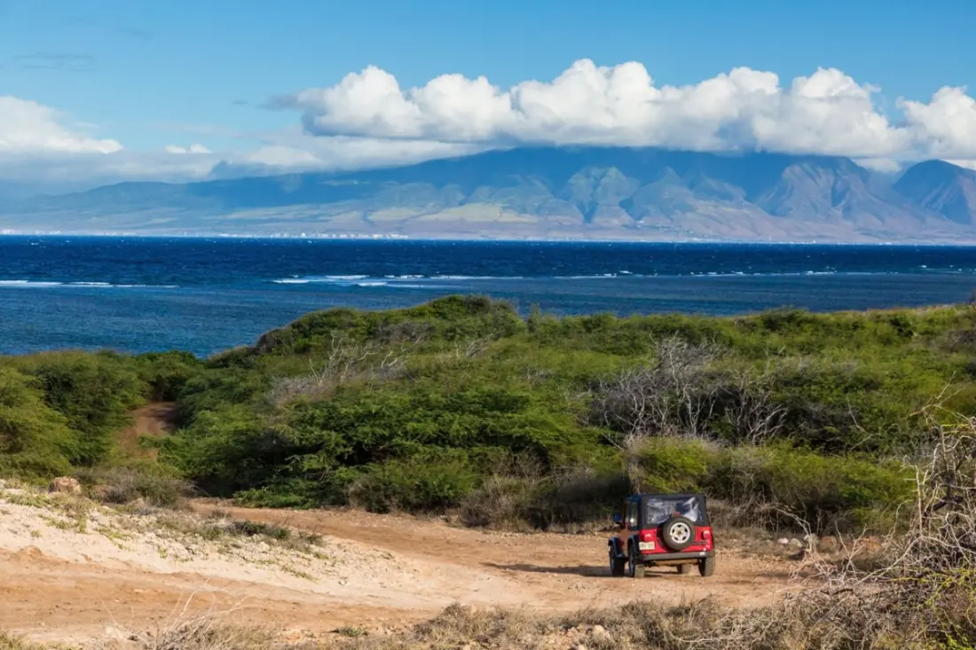 How to Do Lānaʻi in a Single Day: Ferry, Four-Wheel Drives and 700 Rescue Cats