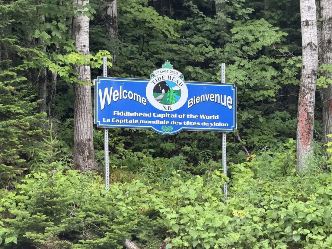 Wasp Stings, Night Hikes and Beaver Encounters: A Thru-Hiker's Week in Quebec's Backcountry