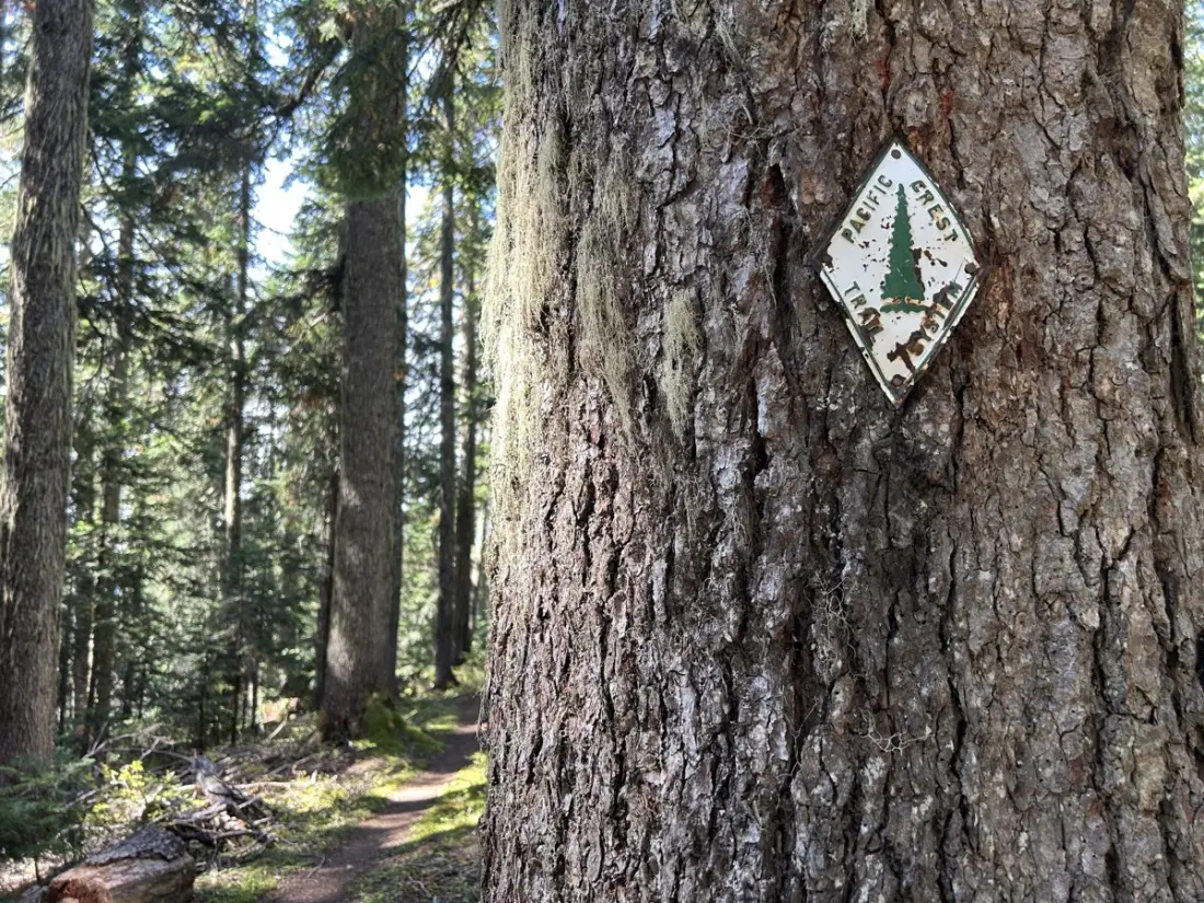 Five Months on the Pacific Crest Trail: The Strange Calm Before the Canadian Border