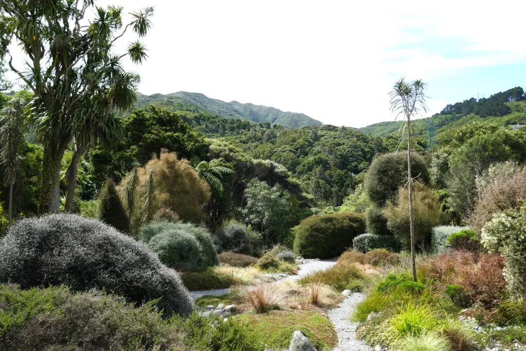 Wellington's Ōtari Native Botanic Garden marks 100 years of growing Aotearoa's plants