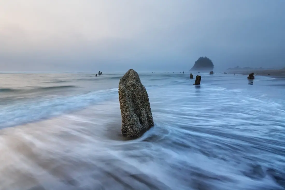 Neskowin Ghost Forest: Where an Ancient Spruce Forest Rises From the Oregon Surf