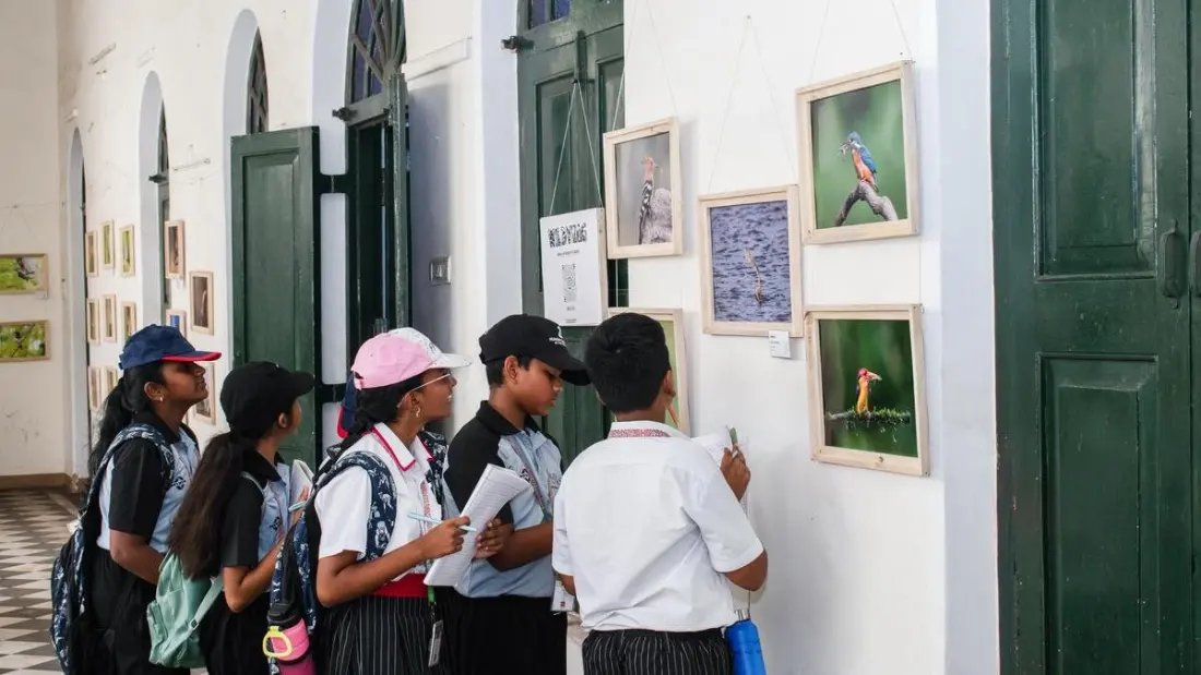 WildVizag 2.0: 150 Wildlife Photographs Take Over Hawa Mahal on Visakhapatnam's Beach Road