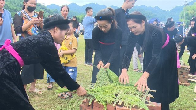 Green Rice and Moonlight: Tuyên Quang's Cốm Pounding Festival Returns This October