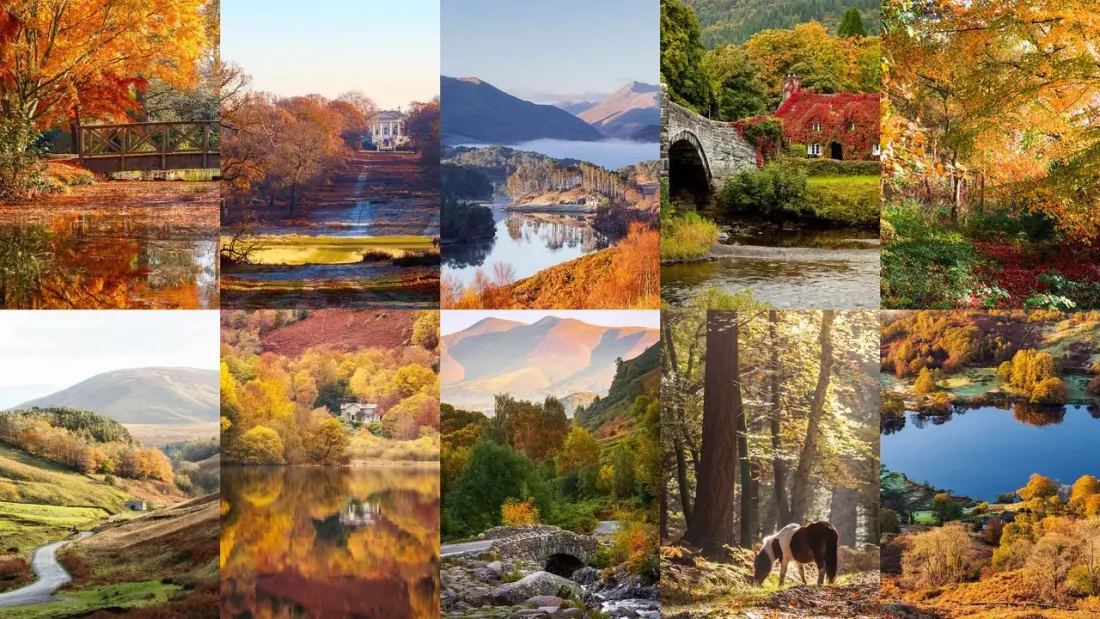 Where to catch the UK's best autumn colour, from Richmond Park to the Scottish hills