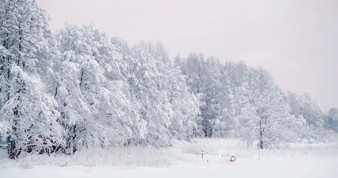 Winter War Finland: how a farmer-sniper and minus 40 degrees stalled a million-strong invasion