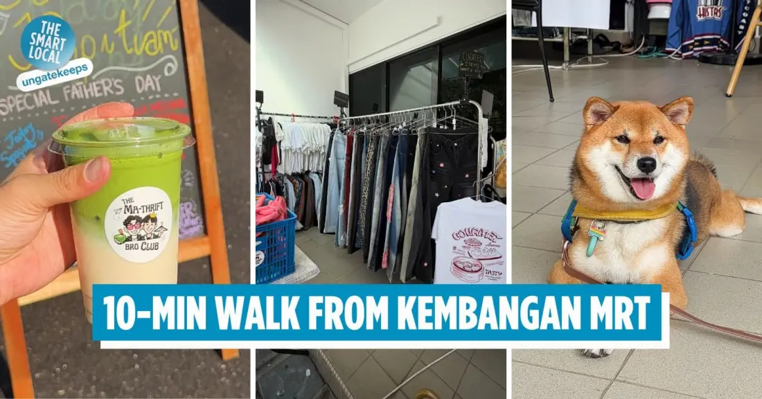 Matcha Under $10 And A Thrift Corner: Inside Kembangan's Pet-Friendly Home Cafe