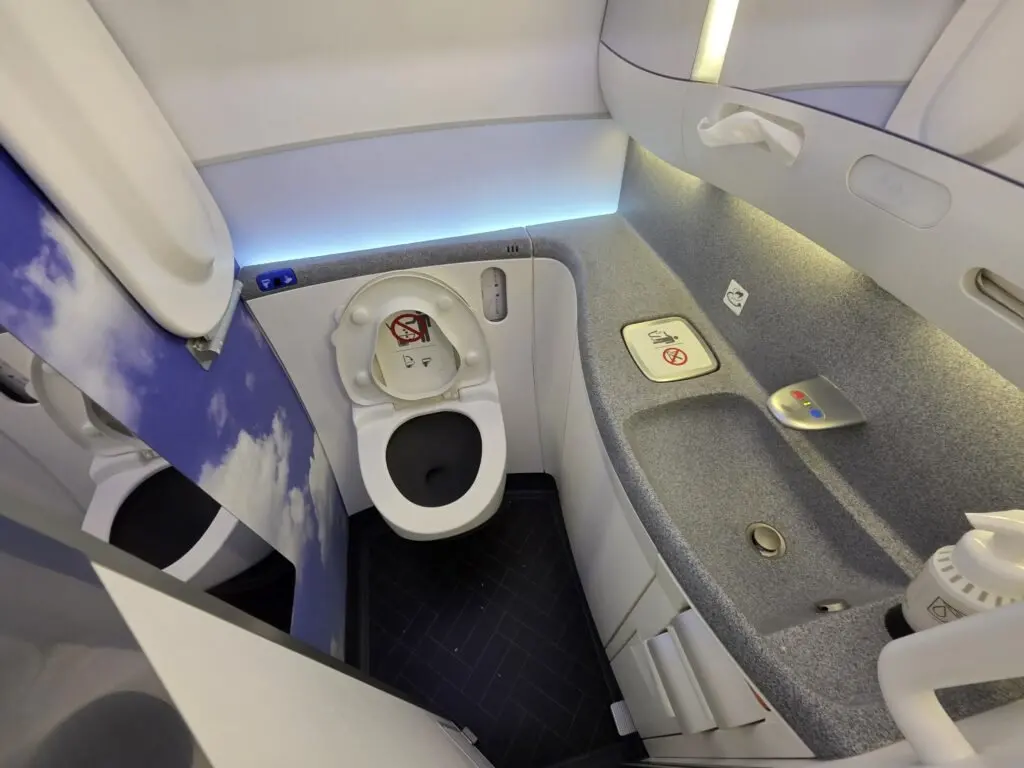 Stuck in a plane bathroom at 35,000 feet — and the airline asked for her booking reference
