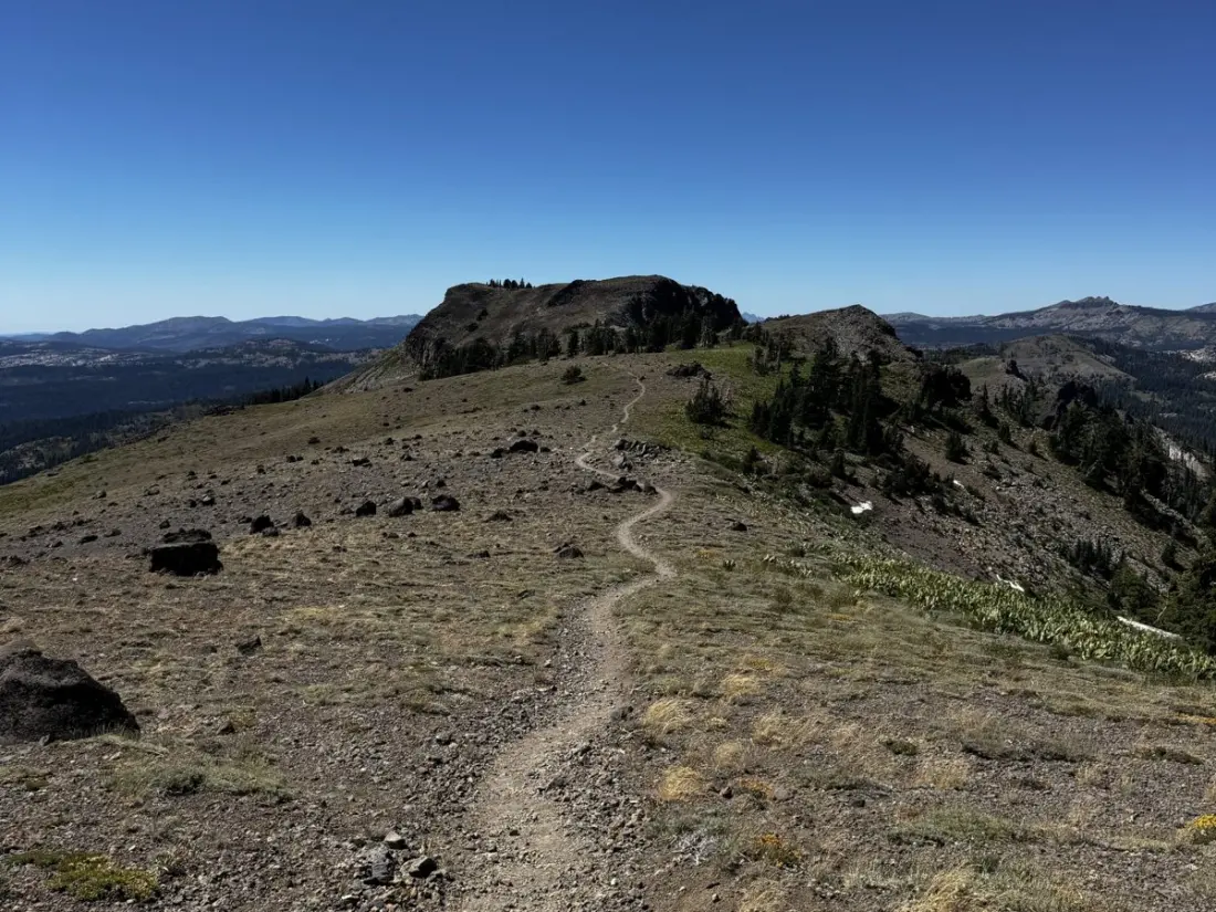 Life After the Sierra: A PCT Hiker's First Week in Northern California