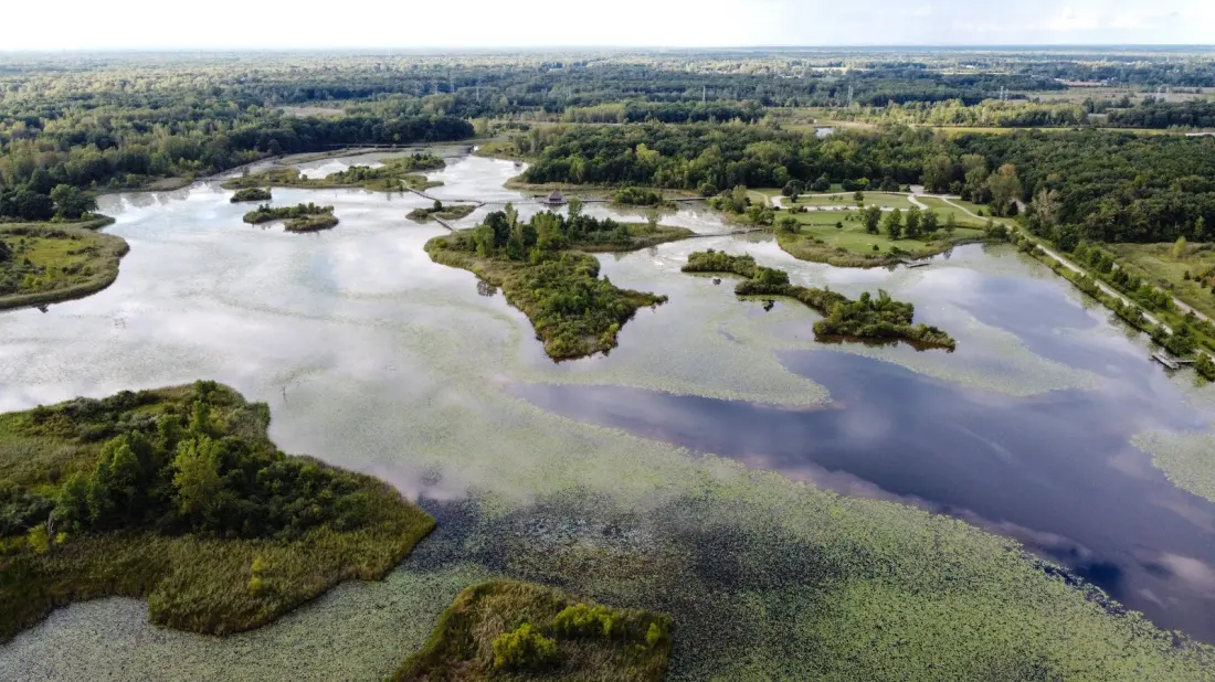 Crosswinds Marsh: The Wetland Reserve Born From an Airport Expansion, Under an Hour From Detroit