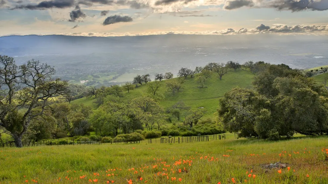 The 10,882-Acre County Park Hiding in San Jose's Backyard