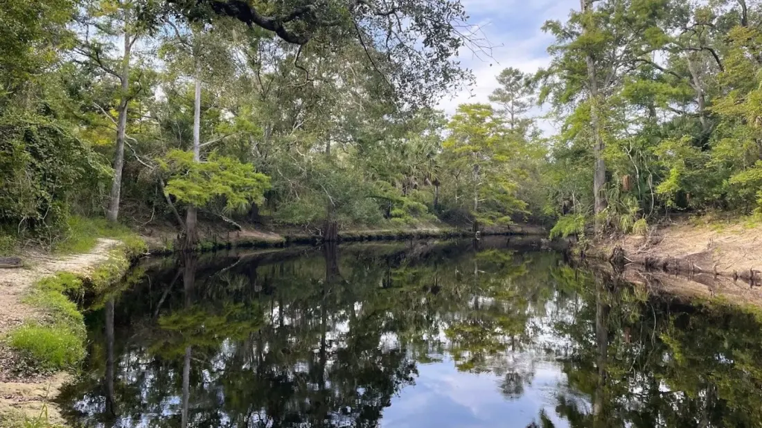 Steinhatchee Springs: Florida's Wild Big Bend Where the River Disappears Underground