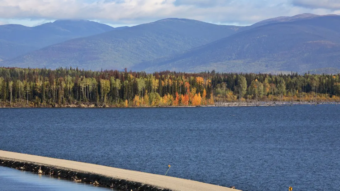 Williston Lake: British Columbia's Giant Reservoir Where Wild Camping Meets World-Class Trout Fishing