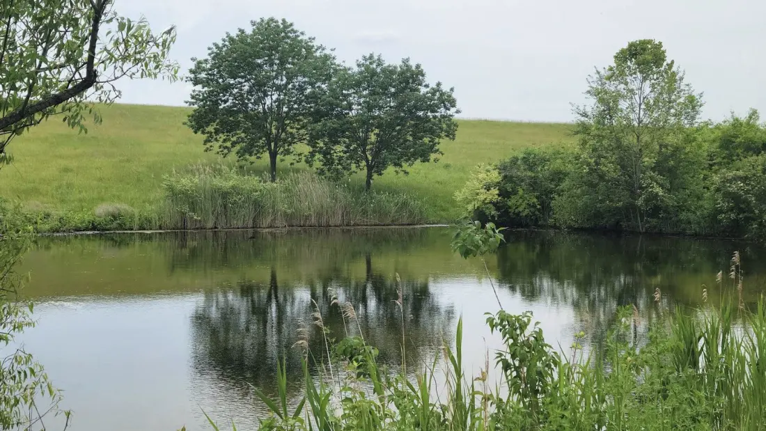 St. Ellen Park: A Defunct Illinois Coal Mine Reborn as a Quiet Fishing and Hiking Escape Near St. Louis