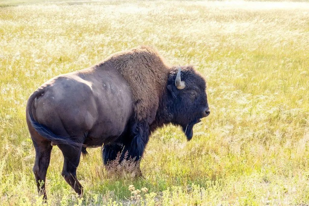 WildLands: Sunset's roundup of adventurous outdoor escapes across the American West