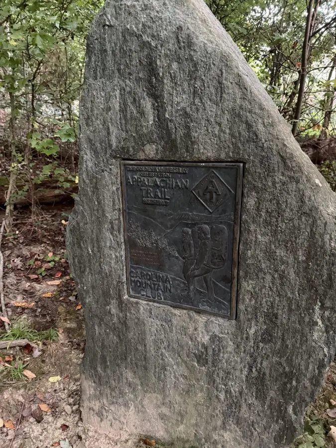 Cinnamon Buns and Bear Number 12: Trail Days Before the Great Smoky Mountains