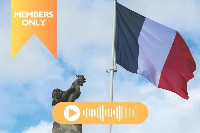 Why the Rooster Is the Emblem of France – From Latin Puns to Revolution