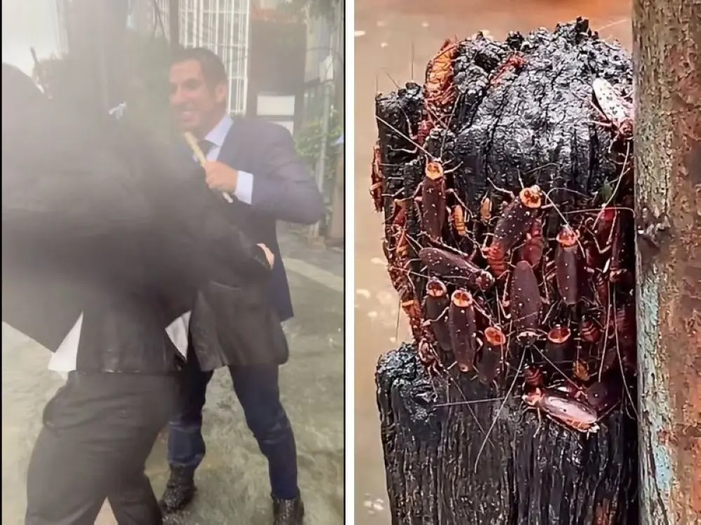 Bangkok floods bring nearly 300mm of rain, mass evacuations — and a wave of cockroaches