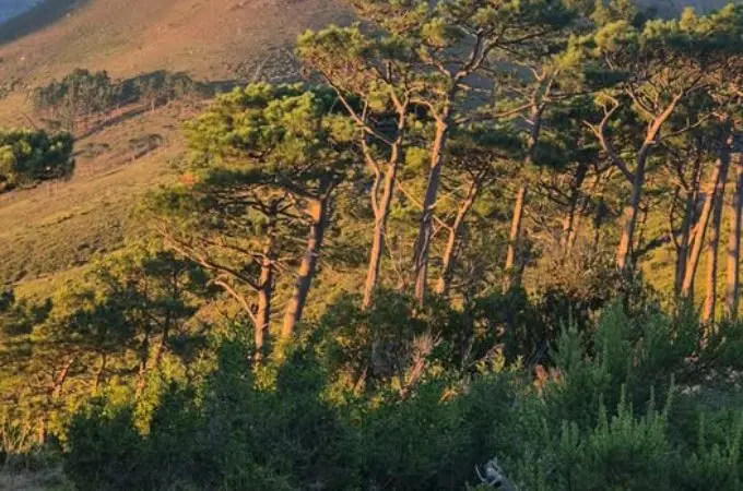 Tourists robbed on Cape Town's Lion's Head as mountain safety concerns grow