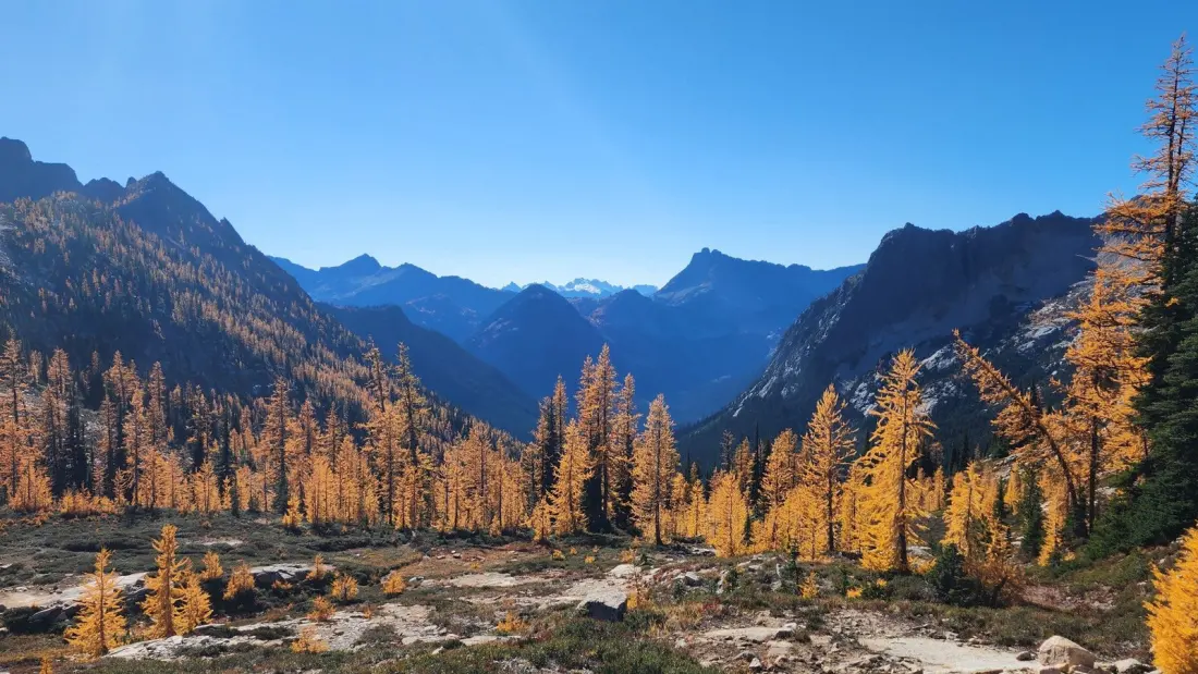 Cutthroat Pass: Washington's Golden Larch Hike on the Pacific Crest Trail