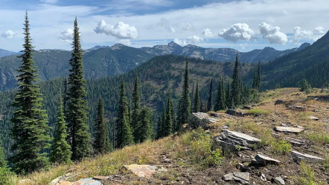 Kaniksu National Forest: Idaho's Quietest Corner for Lakes, Hikes and Caribou
