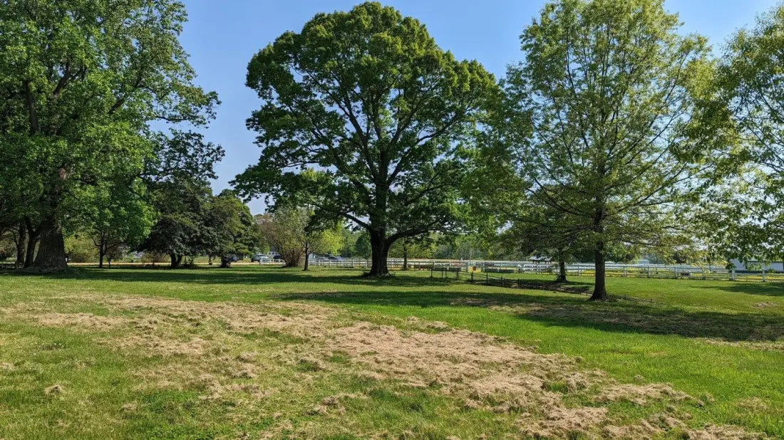 Greenwell State Park: Maryland's Quiet Bayside Peninsula With Trails, Horses and Crabbing