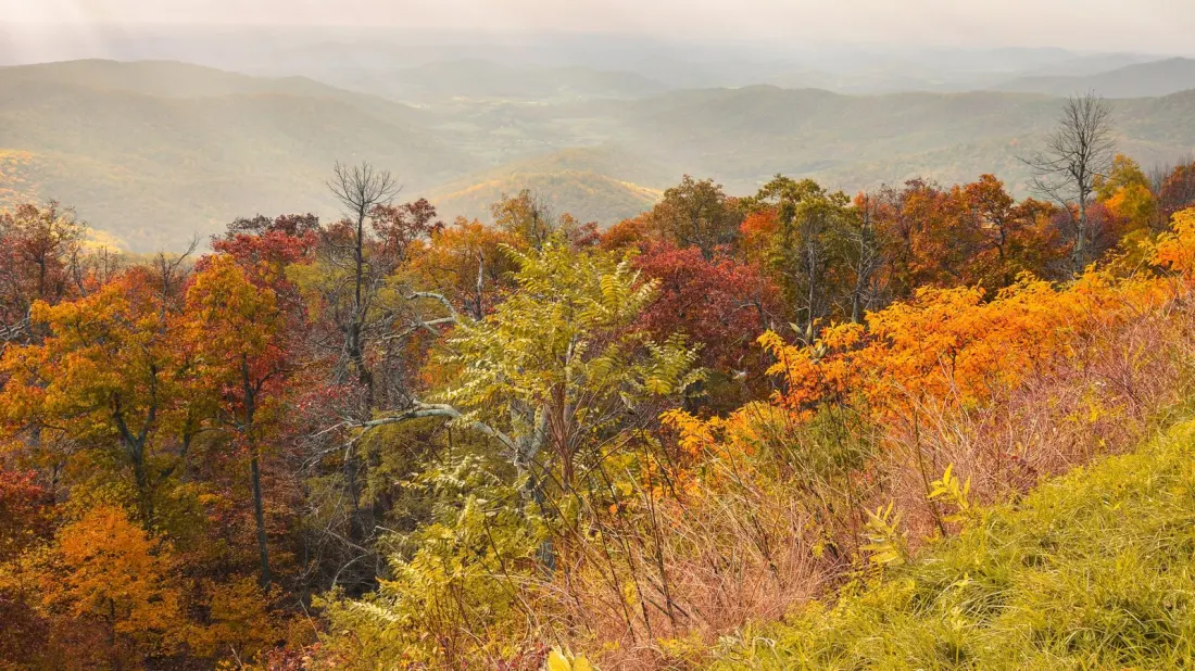 Shenandoah National Park: Virginia's Underrated Fall Foliage Powerhouse