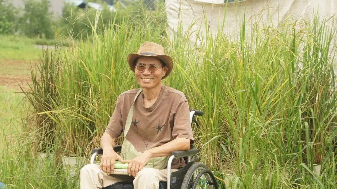 In Korea, One Farmer Is Bringing Back More Than 1,450 Lost Native Rices